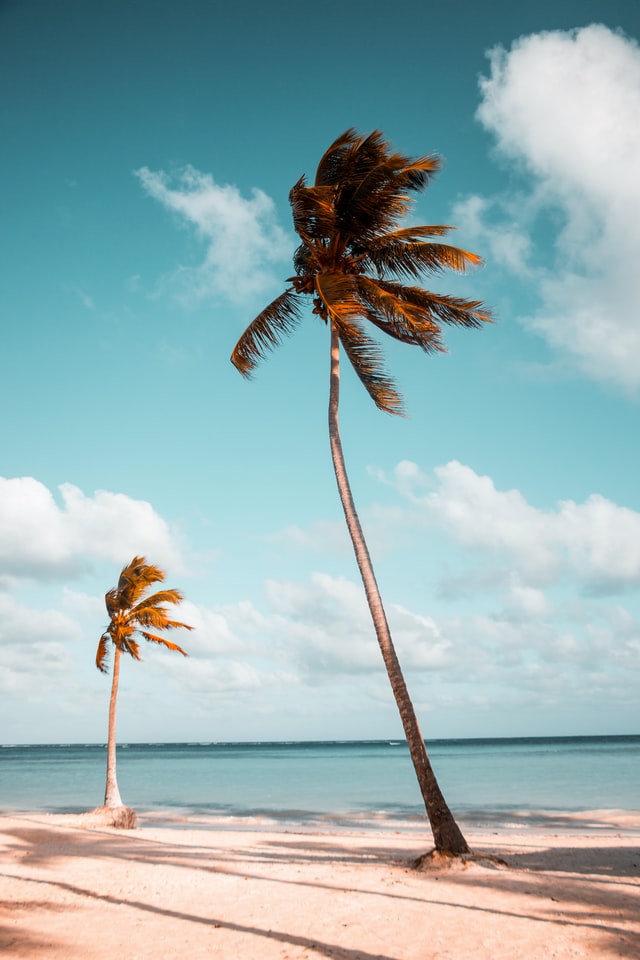 beach-picture