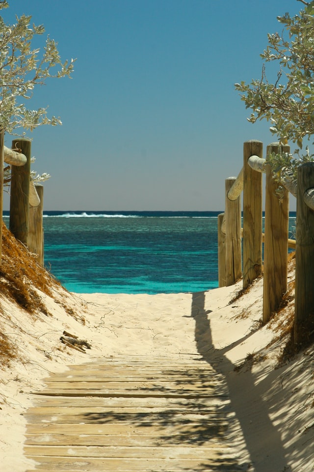 beach-picture