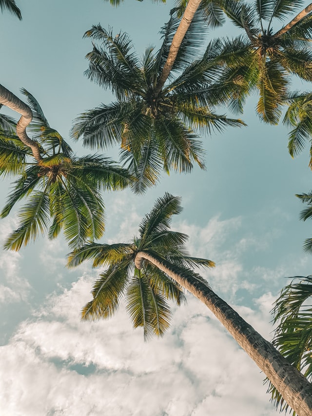 beach-picture